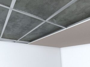 USG Direct Mount System